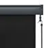  Jaluzea tip rulou de exterior, antracit, 160 x 250 cm