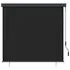  Jaluzea tip rulou de exterior, antracit, 160 x 250 cm