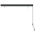  Jaluzea tip rulou de exterior, antracit, 160 x 250 cm