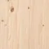 Suport de anvelope, 120x40x180 cm, lemn masiv de pin