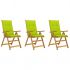 Set 3 bucati scaune gradina pliabile, verde deschis