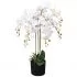  Plantă artificială orhidee cu ghiveci, 75 cm, alb