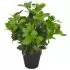 Planta artificiala dafin cu ghiveci, verde, 40 cm