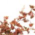 Set 2 bucati frunze artificiale de struguri, rosu