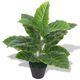  Plantă artificială Taro cu ghiveci, 45 cm, verde