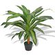  Plantă Dracena artificială cu ghiveci, 90 cm, verde