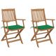 Set 2 bucati scaune gradina pliabile cu perne, verde
