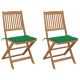 Set 2 bucati scaune gradina pliabile cu perne, verde