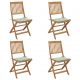 Set 4 bucati scaune gradina pliabile cu perne, multicolor