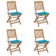 Set 4 bucati scaune gradina pliabile, albastru